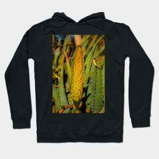 Cactus spike Hoodie